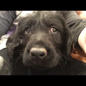 Meet your Posher, Ashli